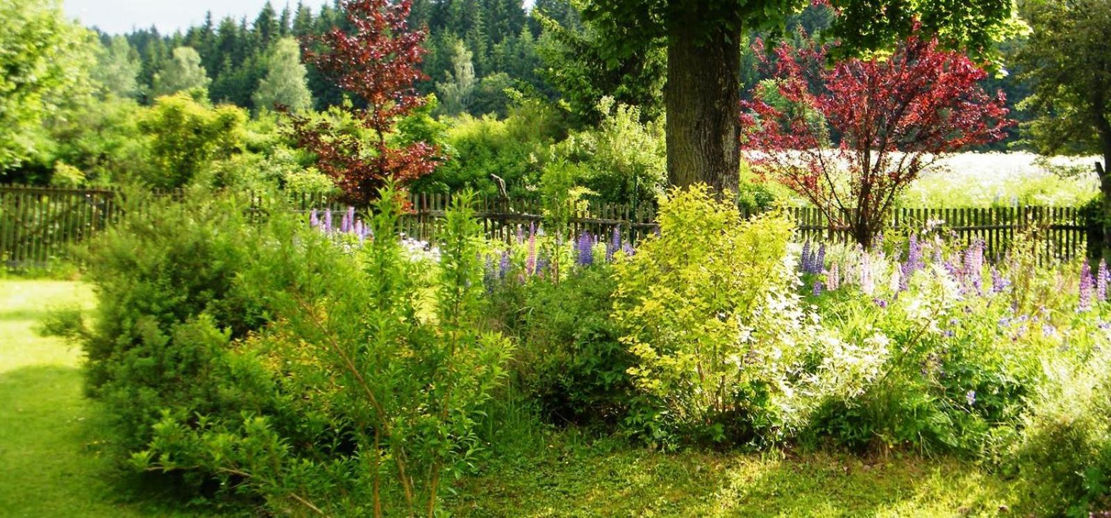 Rainmuehle Villa Marianske Lazne Bagian luar foto