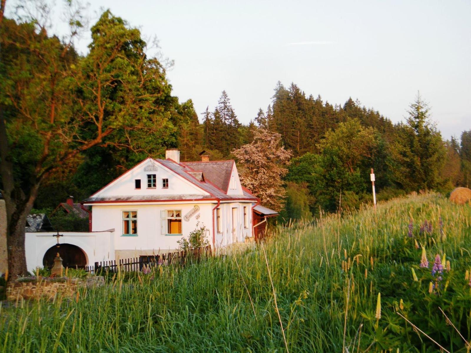 Rainmuehle Villa Marianske Lazne Bagian luar foto