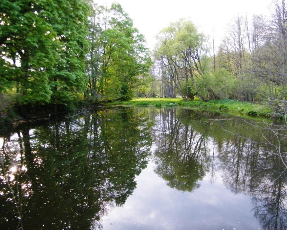 Rainmuehle Villa Marianske Lazne Bagian luar foto