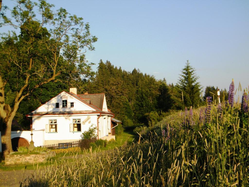 Rainmuehle Villa Marianske Lazne Bagian luar foto